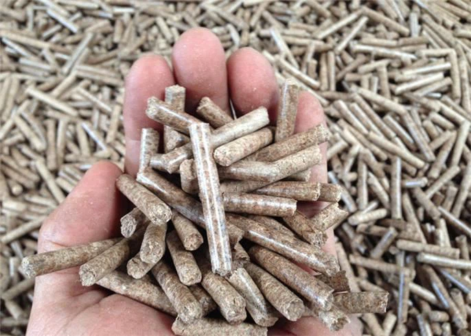 ring die wood pelletizer